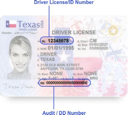 dps national id|Log in .